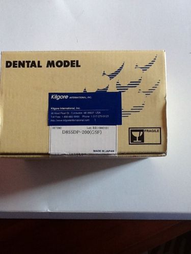 Kilgore Dental Model