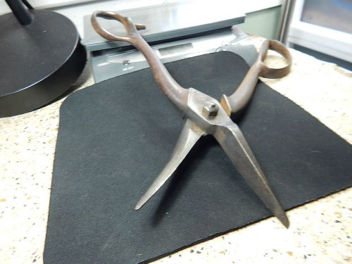 Vintage Antique?Brevete MFG.in France Tool Co Tin-Snips -Scissor Sharp! 11 3/4&#034;