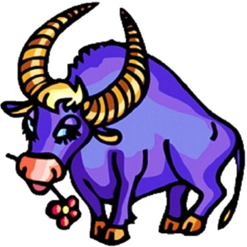 30 Custom Taurus Bull Personalized Address Labels