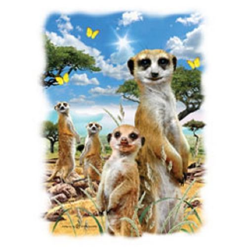 Meerkats HEAT PRESS TRANSFER for T Shirt Sweatshirt Tote Bag Quilt Fabric 271f