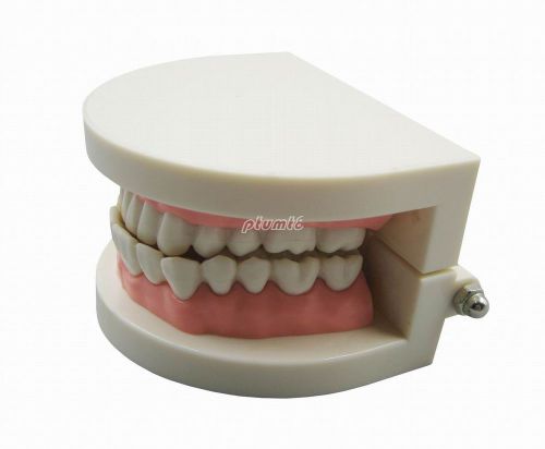 New dental teeth brushing teeth model dental education teaching model g125 pt for sale