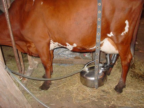 Complete cow goat sheep milking machine surge milker bucket milk w/ instructions for sale