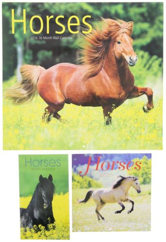 2016 HORSES Calendar Lot NEW - Full Wall, Planner &amp; Mini Desk Calendar - Pony