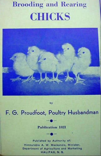 Brooding &amp; Rearing Chicks Chickens Poultry Husbandman Husbandry Booklet 1952