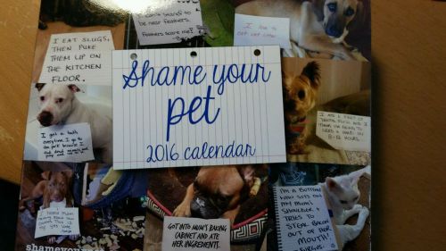 Shame Your Pet 2016 Desk Calendar - FREE SHIPPING!