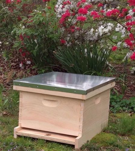 10- frame complete langstroth Beehive with frames and foundation