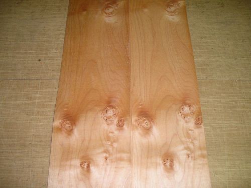 Maple Cluster Wood Veneer. 6.5 x 27, 12 Sheets.