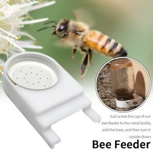 4pcs Box With Perforated Lid Beehive Entrance Feeders Easy Install Sugar Plastic
