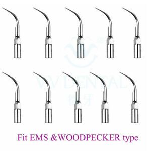 Dental Cleaner Perio Endo Scaling Tip Ultrasonic Scaler Handpiece fit EMS GH67