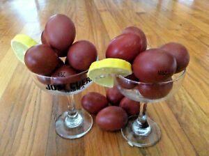 12  BLACK COPPER MARANS Hatching Eggs