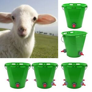 Portable 8L Goat Milk Bucket Milk Feed for Cattle Horses Cow Lambs Livestock