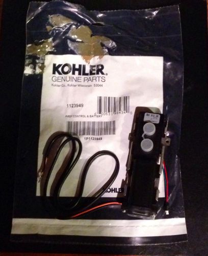 Kohler Battery &amp; Control Assembly 1123949 Genuine Replacement Parts