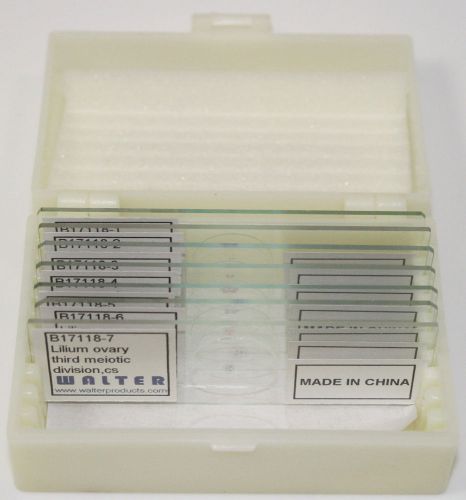 Meiosis prepared slide set, 7 glass microscope slides for sale