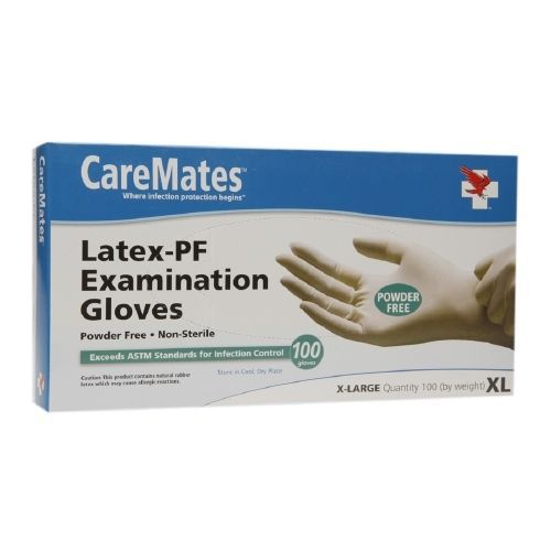 CareMates Vinyl Powder-Free Disposable Examination Gloves,Large -Carton of 100