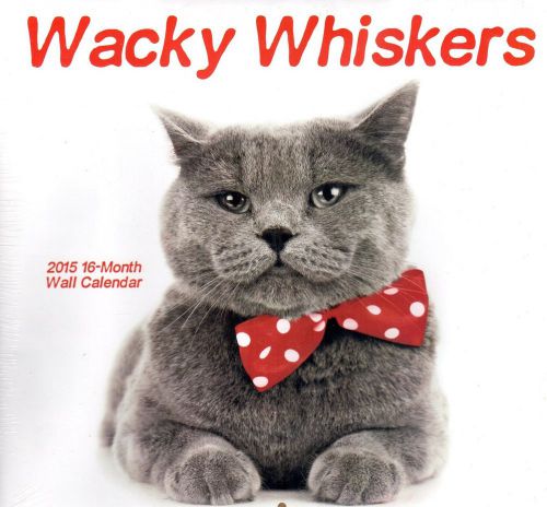 WACKY WHISKERS - 2015 16 Month  WALL CALENDAR - 12x11