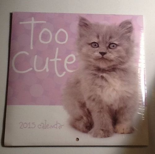 TOO CUTE Kitty Cat KITTENS 2015 Mid Medium Size Wall Calendar NEW