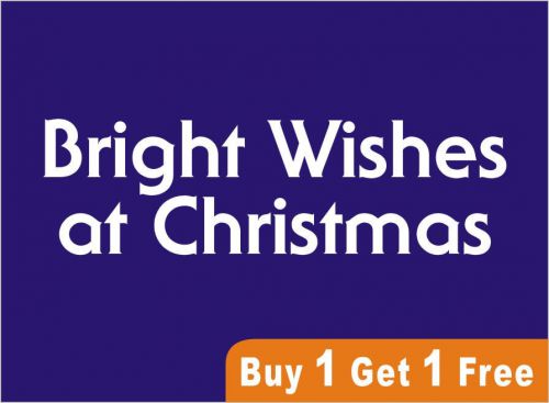 Bright Wishes Vinyl Wall Stickers Decal Art Home Decor - 544