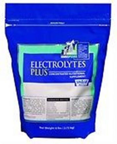 Electrolytes plus concentrated nutritional supplement multispecies 6 pounds bag for sale