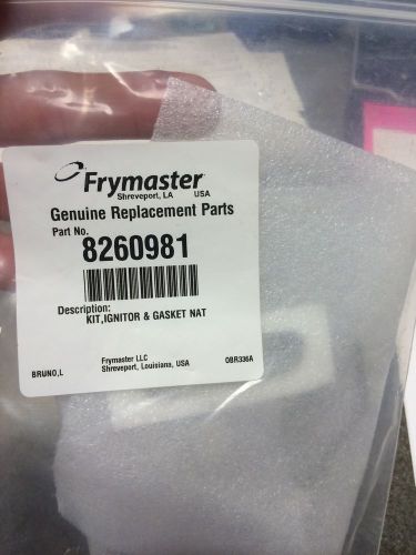 Frymaster 8260981 Ignitor Pilot Assembly