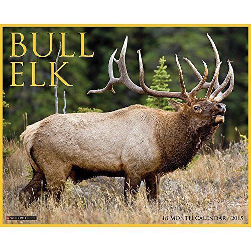 NEW Bull Elk 2015 Wall Calendar
