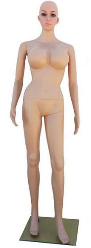 MN-250 Busty Ladies Female Full Size Plastic Mannequin with Realistic Face