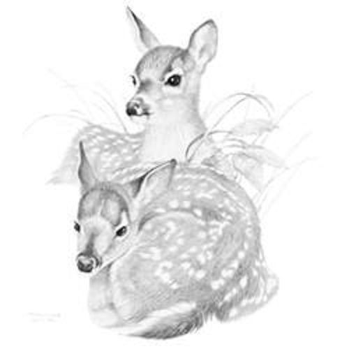 Deer fawn heat press transfer for t shirt sweatshirt tote bag quilt fabric  235e for sale