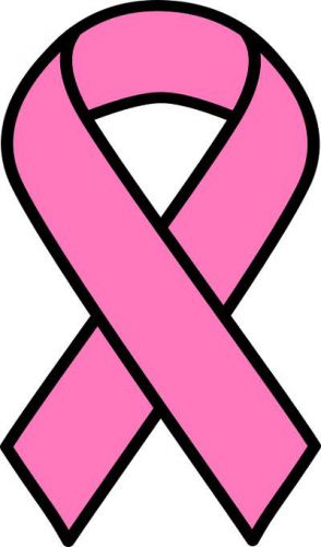 30 Custom Simple Pink Ribbon Personalized Address Labels