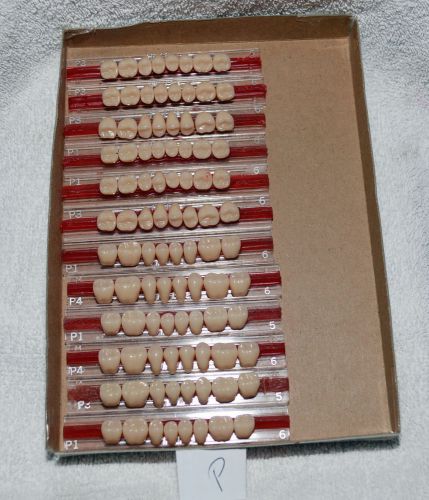 12 CARDS OF ACRYLIC POSTERIOR DENTURE TEETH NEW!