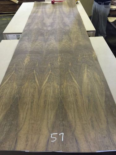 Wood Veneer Imbuya 30x110 1 Piece 10Mil Paper Backed &#034;EXOTIC&#034; Bel 57