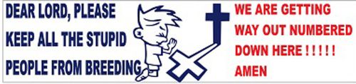 STICKERS,STUPID PEOPLE STICKERS, LUNCH BOX STICKERS S-138