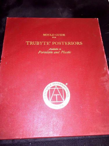 Dentsply Trubyte Poteriors Mould Guide (((make an offer))