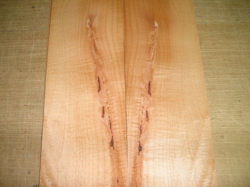 Maple Cluster Wood Veneer. 5.5 x 19, 10 Sheets.
