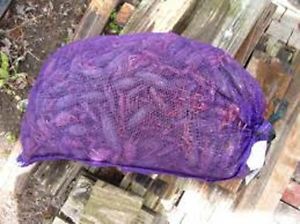 Leno mesh bag 15&#034; x 25&#034; (purple) - 100 per pack for sale