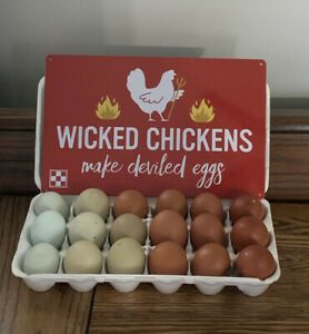 Rainbow 18 Pack Chicken hatching eggs~RaRe Dark F1-F6 NPIP Mixed Purebred Packs