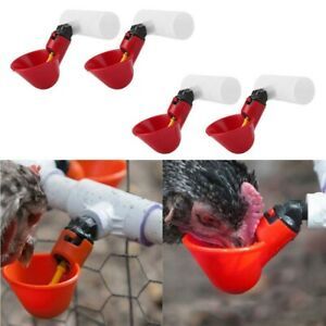 Bird Cups Drinking Water Chicken Drinker Duck Flock Hen PVC Red Practical