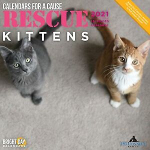 2021 Rescue Kittens Wall Calendar by Bright Day, 12 x 12 Inch, Cute Cats Cale...