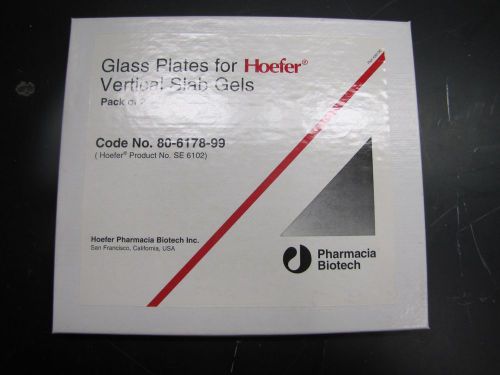 Glass Plates for Hoefer Vertical Slab Gels 2/Pk SE 6102 80-6178-99 #26130