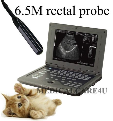 Cms600p b-ultrasound veterinary ultrasound diagnostic scanner 6.5m rectal probe for sale