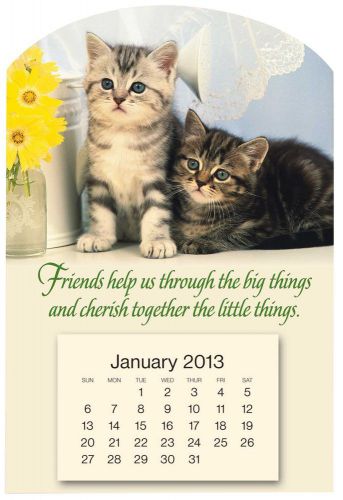 Miles Kimball Mini Magnetic Kitten Calendar 