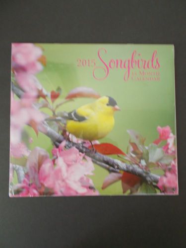 2015 16 Month &#034;Songbirds&#034; 11&#034;x 12&#034; Closed Wall Calendar NEW &amp; SEALED