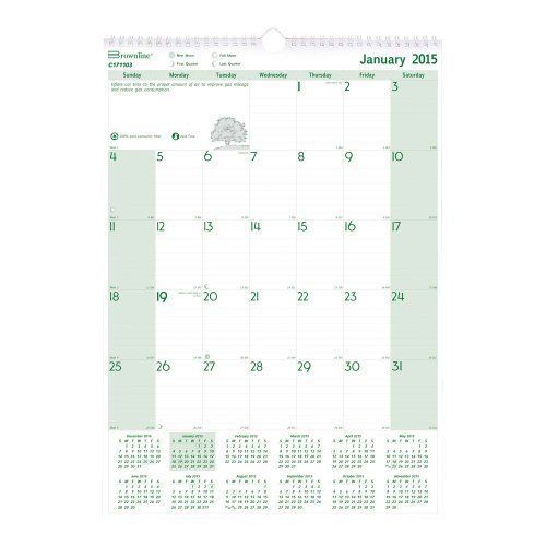 Rediform Ecologix Monthly Wall Calendar - Monthly - 12&#034; X 17&#034; - (c171103)