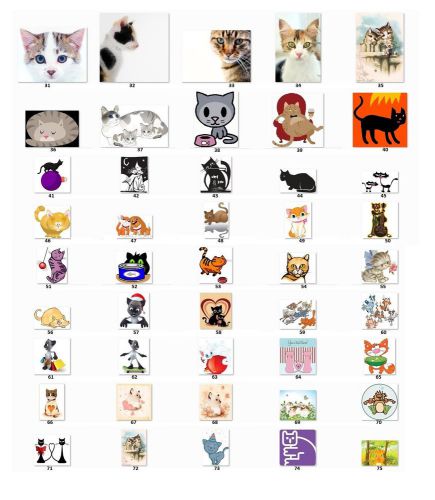 30 Personalized Return Address Labels Cats. choose one picture {c2}