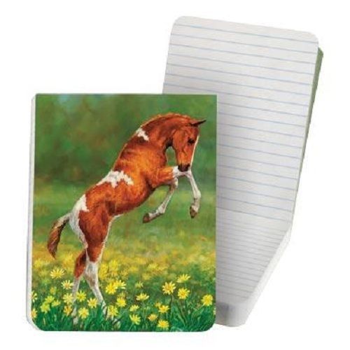 #8569 -- TREE FREE ECO COWGIRL HORSE POCKET PURSE NOTE PAD -WOW!