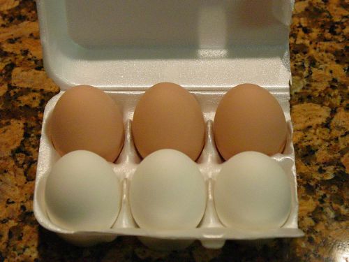 6 MIXED (3 BROWN AND 3 WHITE) CERAMIC NEST TRAINING EGGS FOR CHICKEN HATCHING