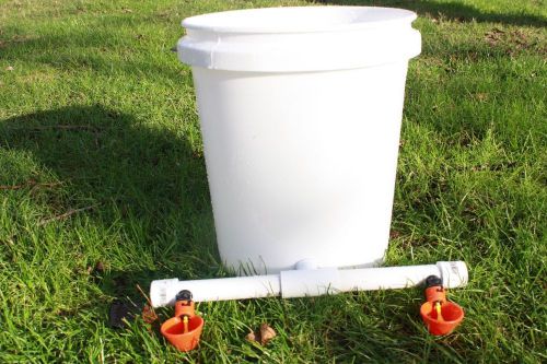 Waterer Chicken Drinker cups with 5 gallons tank