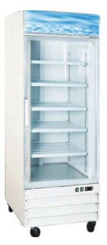 OMCAN 23cf Glass 1-Door Commercial Display Ice Cream Freezer (Premiun-series)