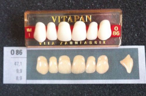 Vitapan Denture Teeth    086   1M1