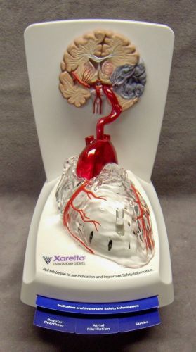 Brain-Heart Sight &amp; Sound Unit, Xarelto Doctor Medical Demonstration, New NIB