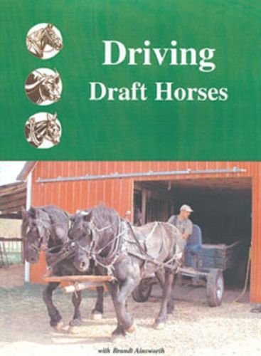 Driving Draft Horses by Brandt Ainsworth DVD