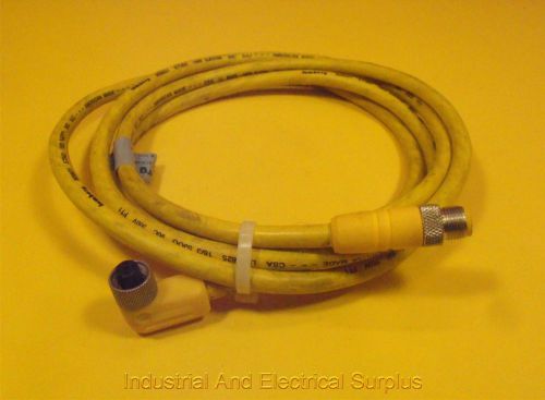 Lumberg RST3RKWT 4/3-631/2M - M12-Round-Plug Connector, Double-Ended Cordset NEW